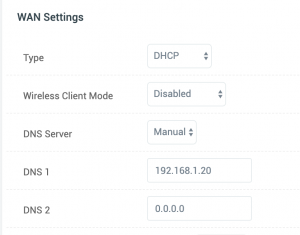 Router DNS Setting
